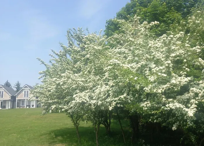 Solmare Дом отдыха *